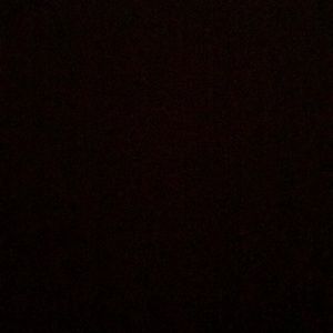 Meet your Posher, Lily